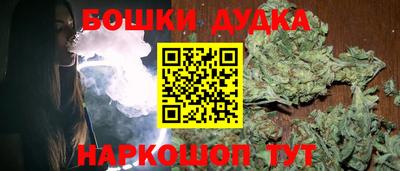 индика Кизилюрт