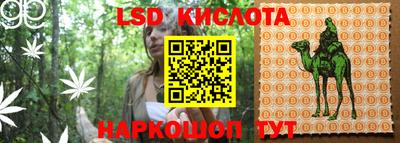 индика Кизилюрт