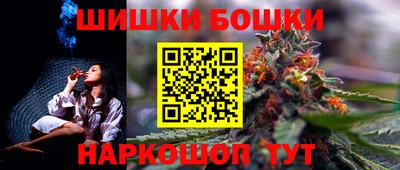 индика Кизилюрт