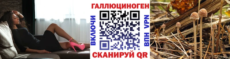 Купить где  Кинешма  Псилоцибиновые грибы ЛСД 