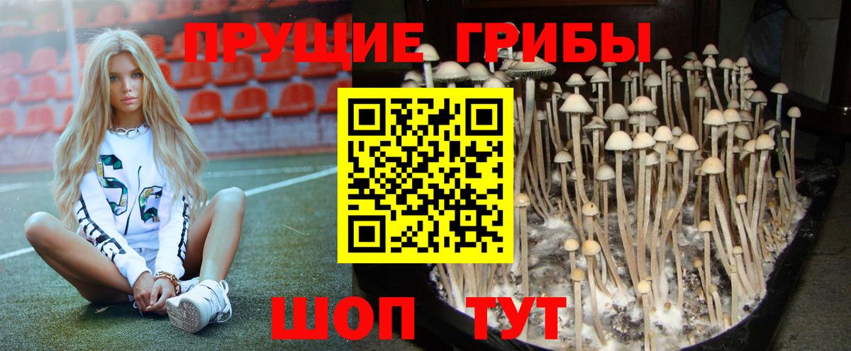 Галлюциногенные грибы Magic Shrooms  Вход с VPN  Кинешма 