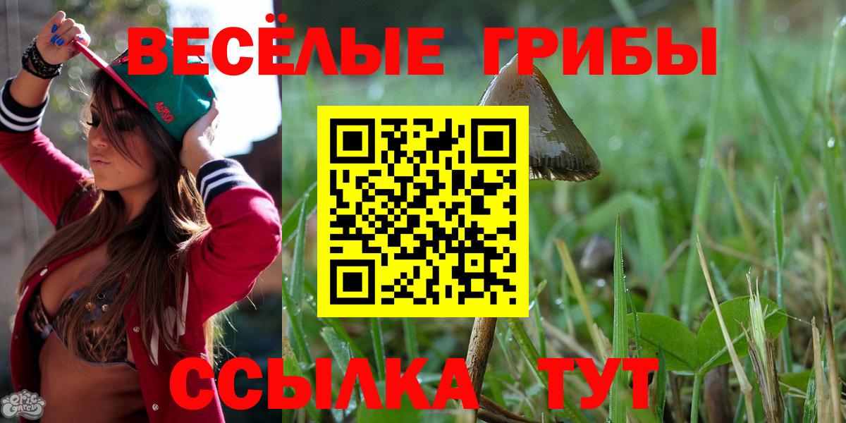 Галлюциногенные грибы Psilocybine cubensis Кинешма