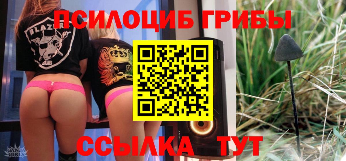 Псилоцибиновые грибы Psilocybine cubensis  Псилоцибиновые грибы мицелий  Кинешма 