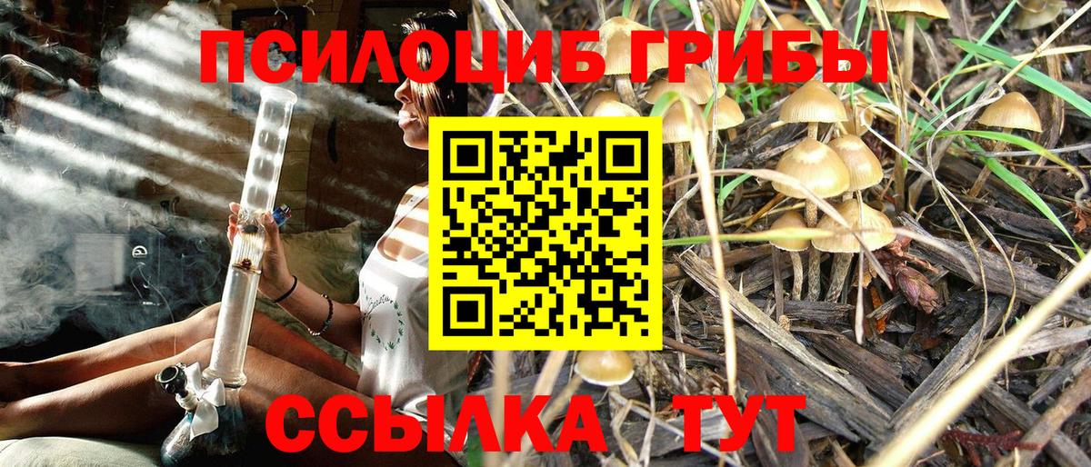 Галлюциногенные грибы мухоморы Кинешма