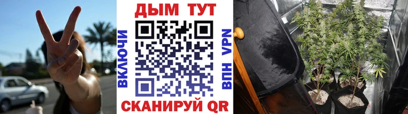 Купить закладки  Кинешма  Марихуана AK-47 